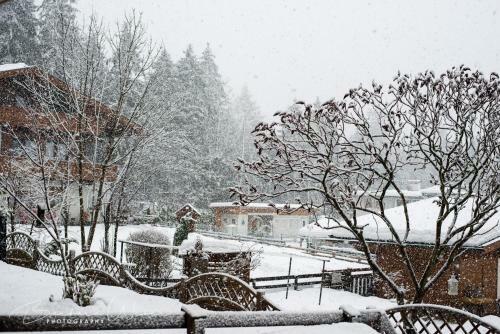 Hostal G�stehaus Waldrand Garni