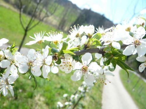 Kr�merwirt Hotel-gasthof