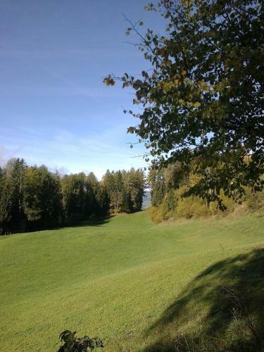 Hotel Gasthof K�ferhube