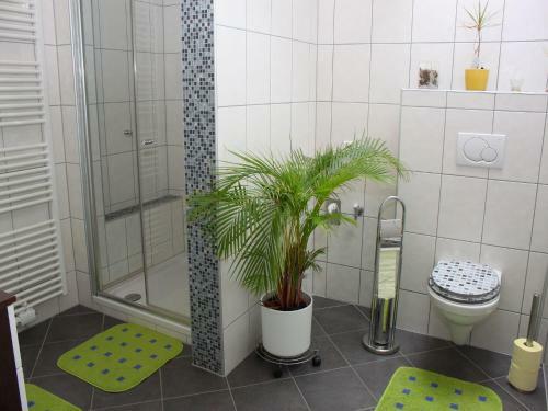 Apartamento Appartementhaus Elfi