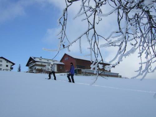 Agroturismo Haus Adlerhorst