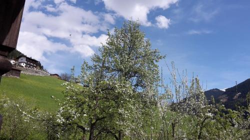 Agroturismo Blaserhof