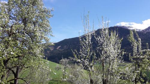 Agroturismo Blaserhof
