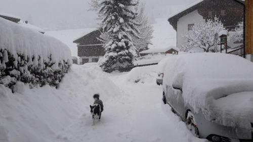 Hostal Haus Heidrun