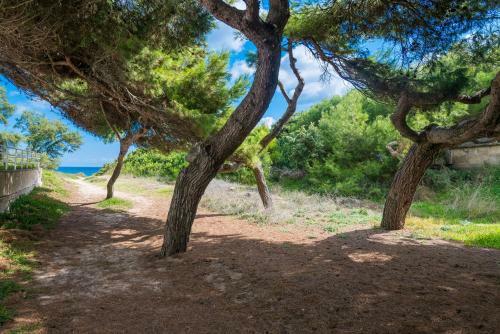 Villa La Canta Beach