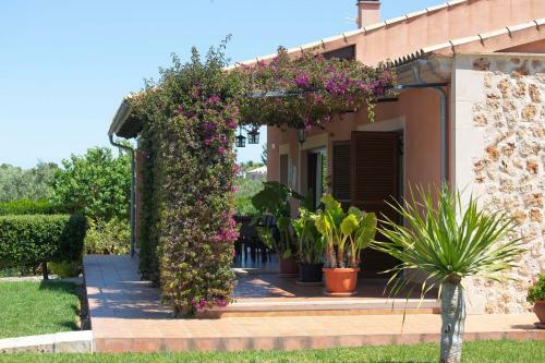Finca Oliveres