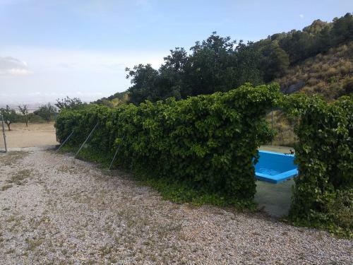 Agroturismo Finca El Carrascal