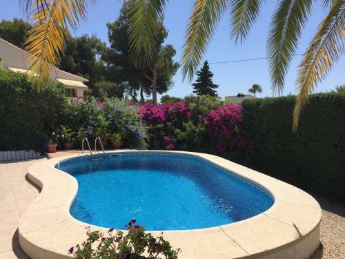Villa Alejandr�a