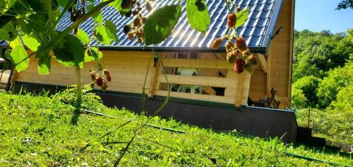 Wooden House Emy