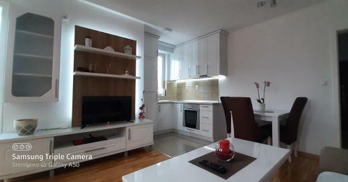 Apartman Tolstoj