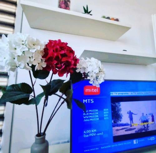Apartman Moskva Bijeljina
