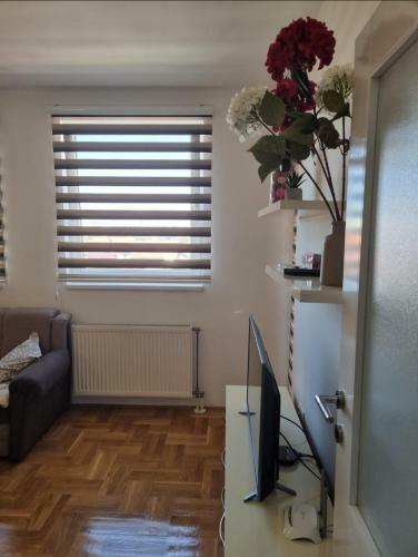 Apartman Moskva Bijeljina