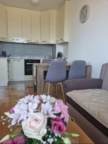 Apartman Moskva Bijeljina