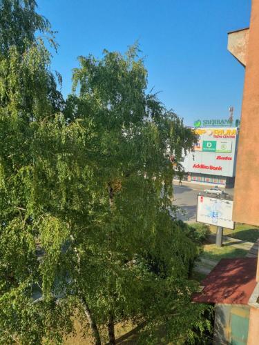 Apartamento Stan Na Dan Centar