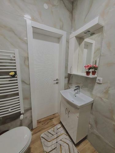 Zara Apartman 1