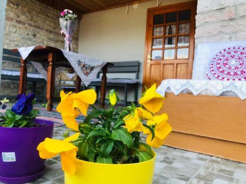 Hostal "mani Guest House"