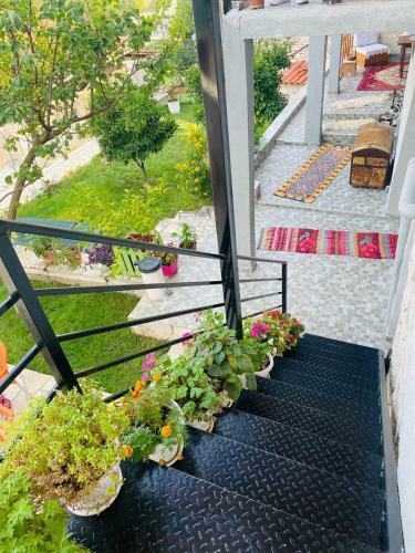Hostal "mani Guest House"