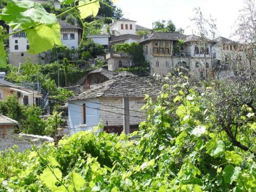 Hostal Guesthouse Celos