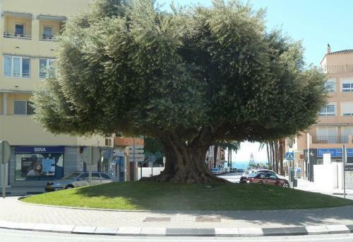 2 Bed Apartment In Central Moraira