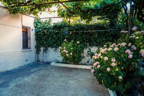 Hostal The Fir Gate