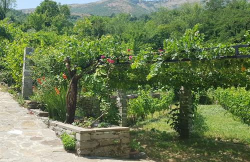 Hostal Guesthouse Lile