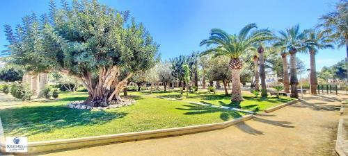 Apartamento El Paraiso Solidays