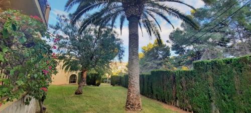 Apartamento El Paraiso Solidays