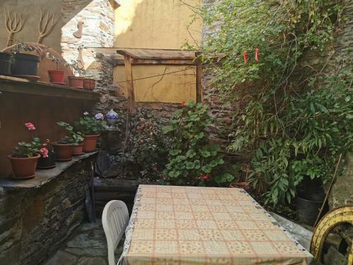 Apartamento Habitaci�n Barbacoa. Cuadruple Con Patio.