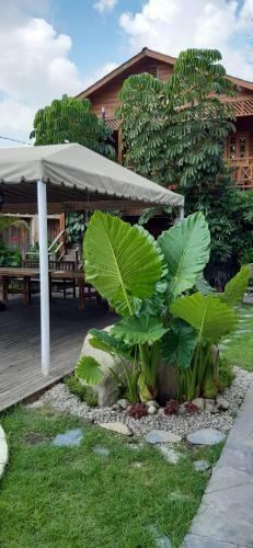 Caba�as La Finca