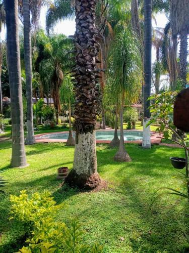 Bed & Breakfast Posada Los Grillos