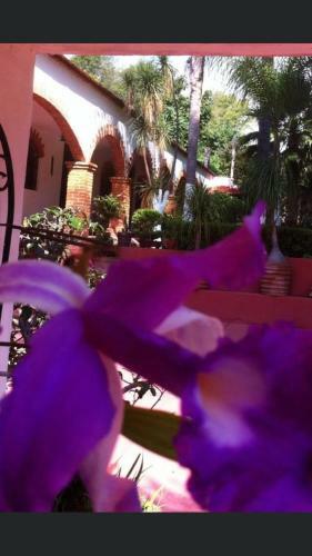 Bed & Breakfast Posada Los Grillos