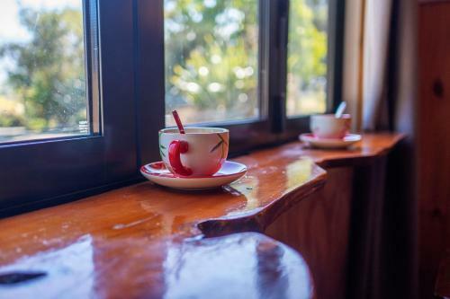 Bed & Breakfast Waikoura Springs