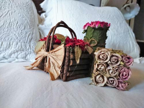 Villa Slow House Y La Caba�a de Miss Slower