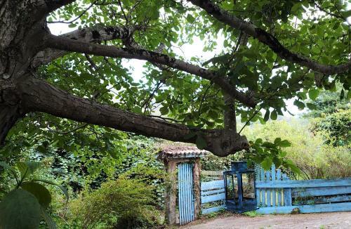 Villa Slow House Y La Caba�a de Miss Slower