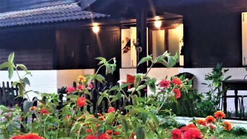 Villa Slow House Y La Caba�a de Miss Slower