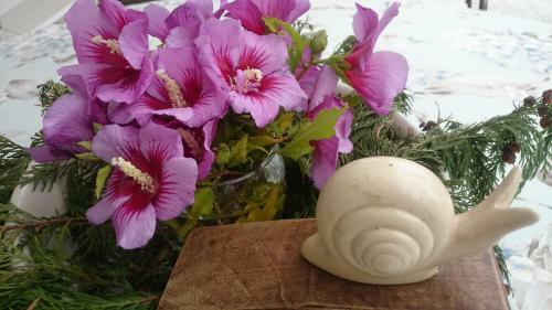 Villa Slow House Y La Caba�a de Miss Slower