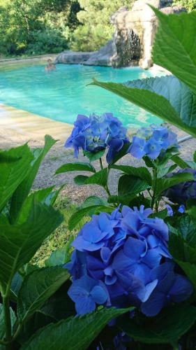Villa Slow House Y La Caba�a de Miss Slower