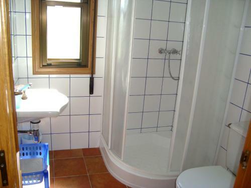 Apartamento Vivienda Con Terraza