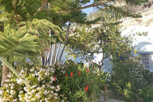 Apartamento Casa-cueva Nijar
