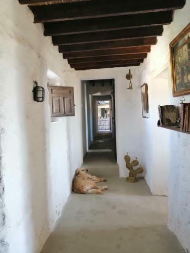 Cortijo Bellavista
