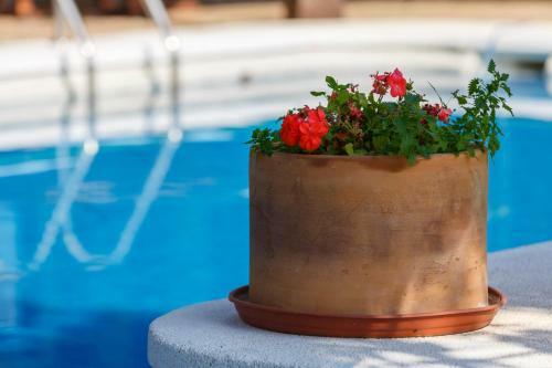 Apartamento Casa Glorieta En Villa de Nijar Con Piscina