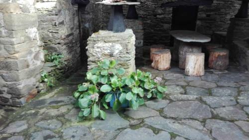 Casa Casariego