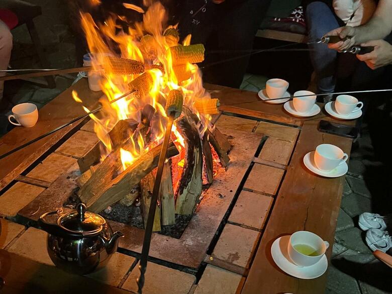 Hotel Dilivita Rest House