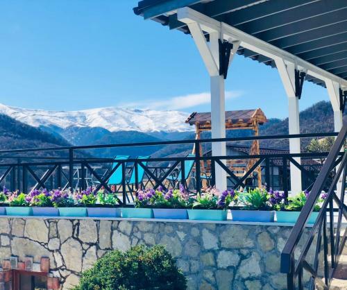 Hotel Cottage Chalet And Tours