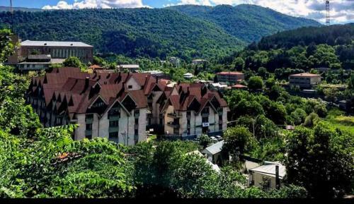 Dilijan Apartment #2