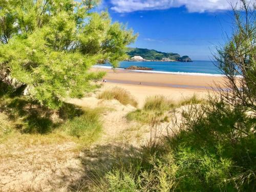 Apartamento El Arenal Playa De Ris