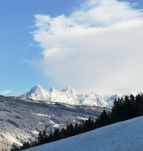 Apartamento Appartement Gruber-hofer