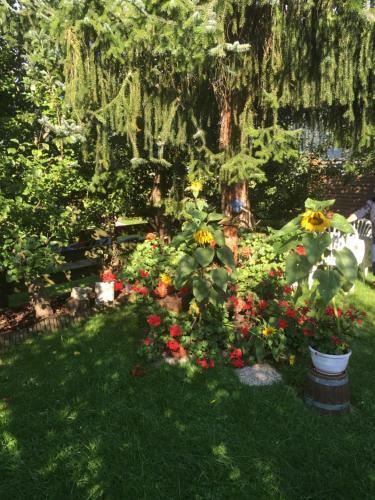Hostal Pension Wieser "baschtlmai"