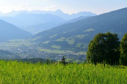 Appartementhaus Mountain Room