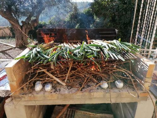 Agroturismo El Maset Del Garraf Privatizado